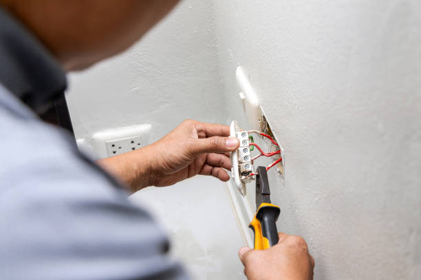 Best Electrical Repair Services  in Salida, CO